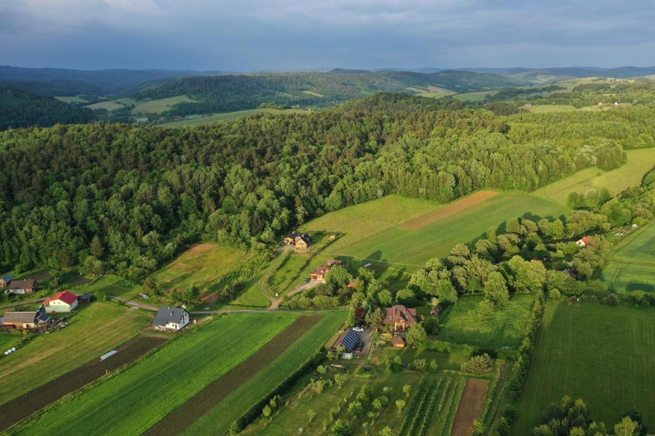 Domek Z Widokiem Санок Экстерьер фото
